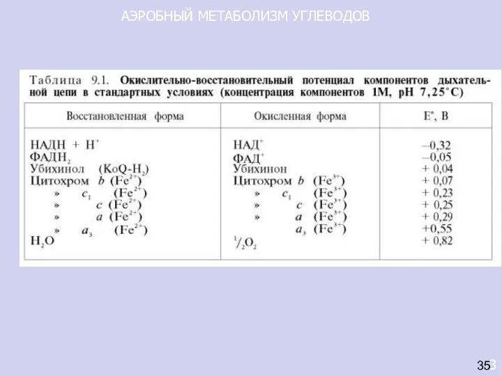 АЭРОБНЫЙ МЕТАБОЛИЗМ УГЛЕВОДОВ 3 35