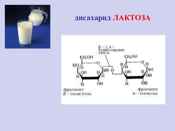 дисахарид ЛАКТОЗА