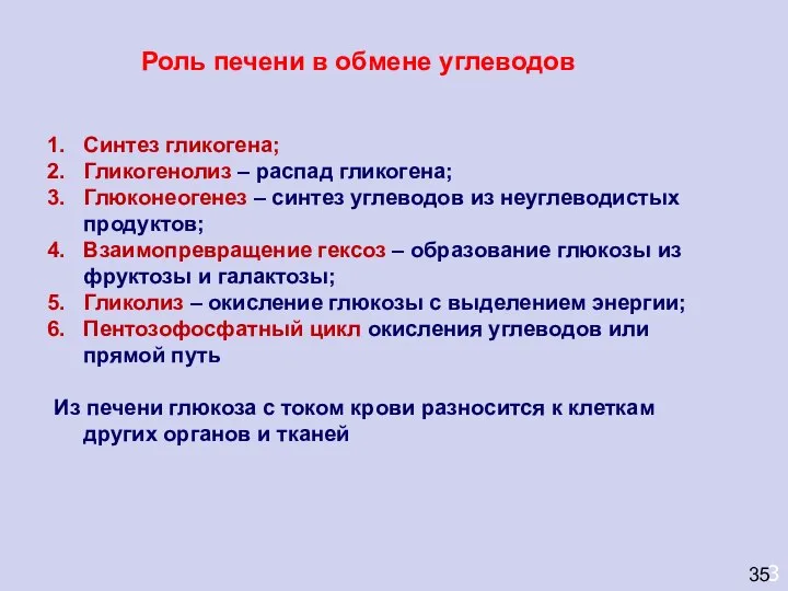 3 35 Роль печени в обмене углеводов Синтез гликогена; Гликогенолиз –