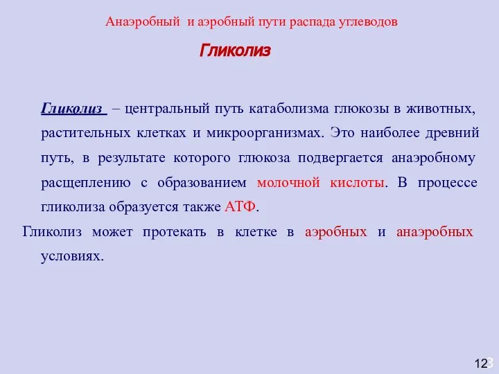 Гликолиз – центральный путь катаболизма глюкозы в животных, растительных клетках и