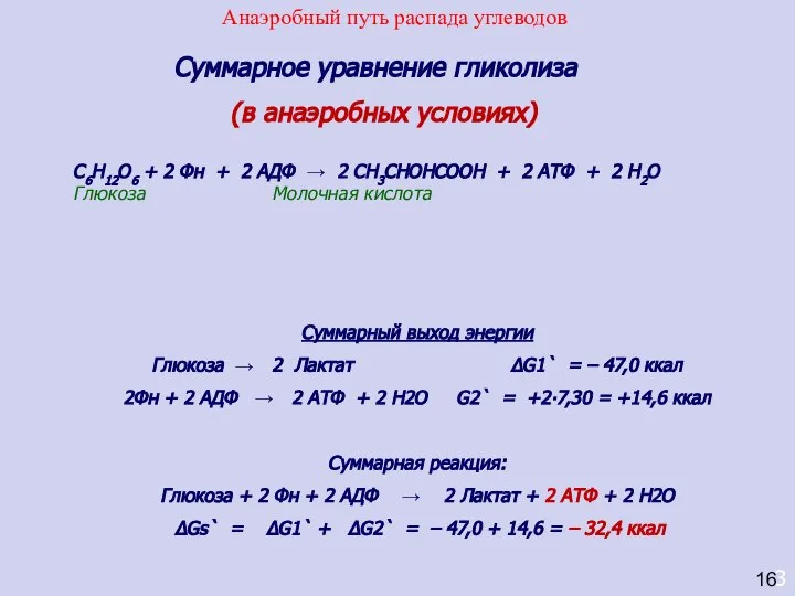 3 Суммарное уравнение гликолиза (в анаэробных условиях) С6Н12О6 + 2 Фн