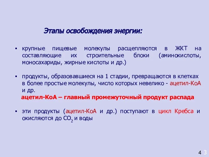 3 4 крупные пищевые молекулы расщепляются в ЖКТ на составляющие их