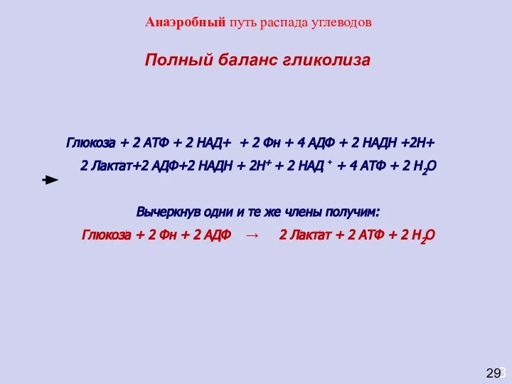 3 Полный баланс гликолиза Глюкоза + 2 АТФ + 2 НАД+