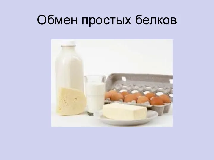 Обмен простых белков