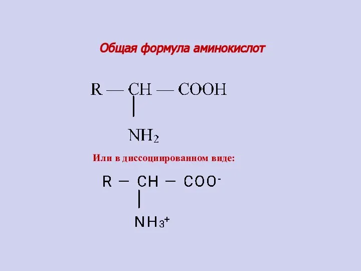 Общая формула аминокислот Или в диссоциированном виде: