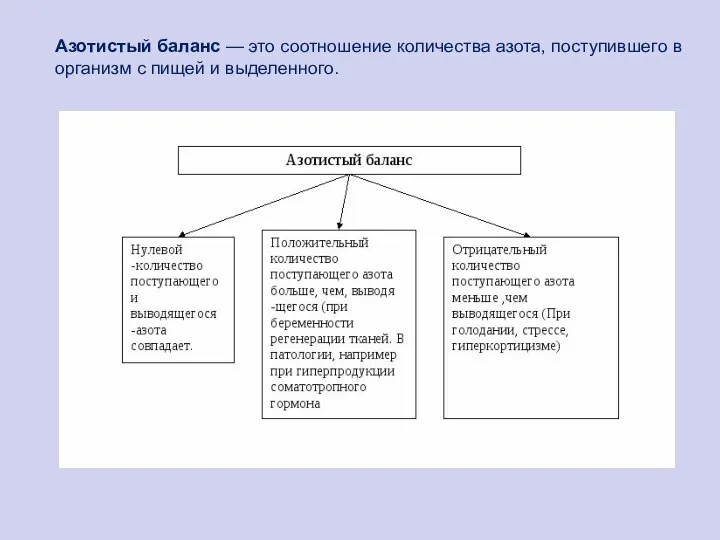 Азотистый баланс — это соотношение количества азота, поступившего в организм с пищей и выделенного.