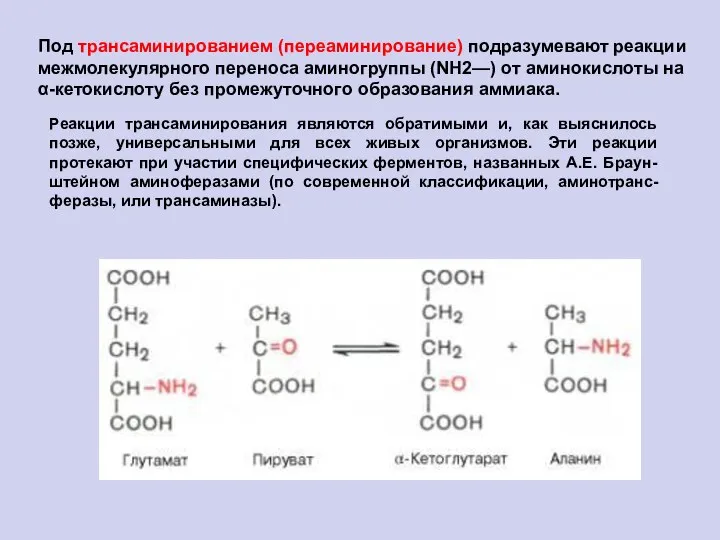 Под трансаминированием (переаминирование) подразумевают реакции межмолекулярного переноса аминогруппы (NH2—) от аминокислоты