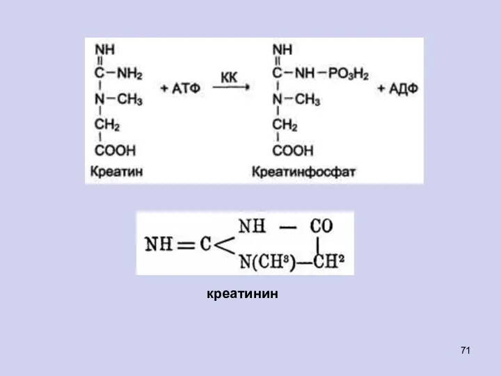 креатинин