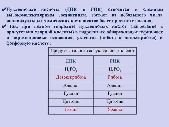 Нуклеиновые кислоты (ДНК и РНК) относятся к сложным высокомолекулярным соединениям, состоят