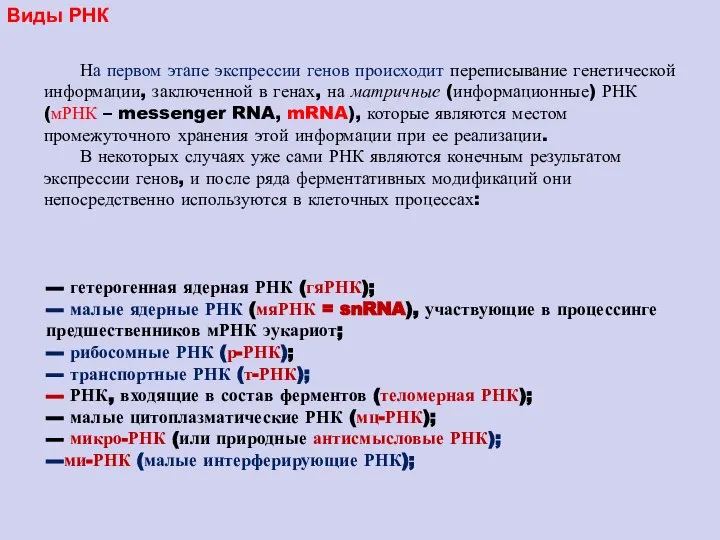 --- гетерогенная ядерная РНК (гяРНК); --- малые ядерные РНК (мяРНК =