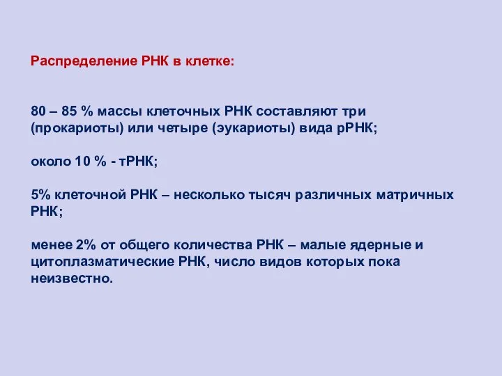 Распределение РНК в клетке: 80 – 85 % массы клеточных РНК