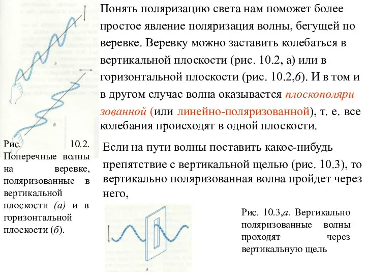 Рис. 10.2. Поперечные волны на веревке, поляризованные в вертикальной плоскости (а)