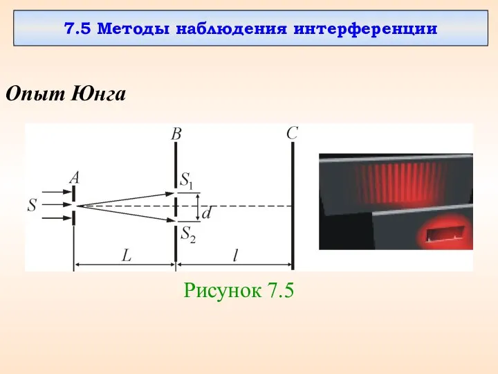 7.5 Методы наблюдения интерференции Опыт Юнга Рисунок 7.5