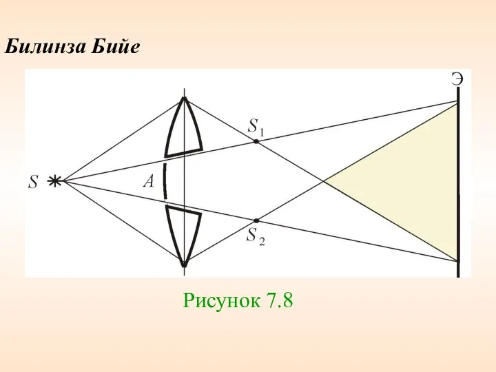 Билинза Бийе Рисунок 7.8