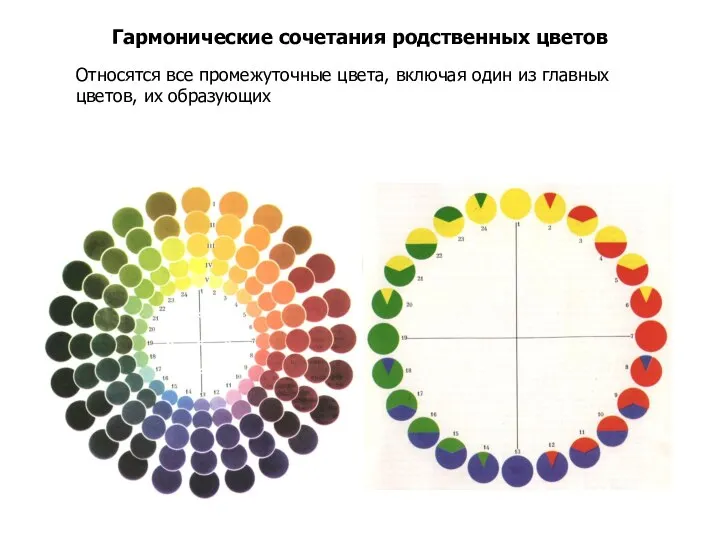 Гармонические сочетания родственных цветов Относятся все промежуточные цвета, включая один из главных цветов, их образующих