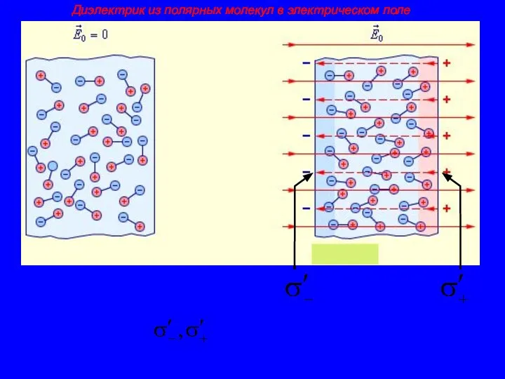 Диэлектрик из полярных молекул в электрическом поле - Поверхностная плотность связанного заряда