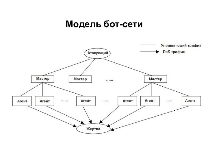 Модель бот-сети