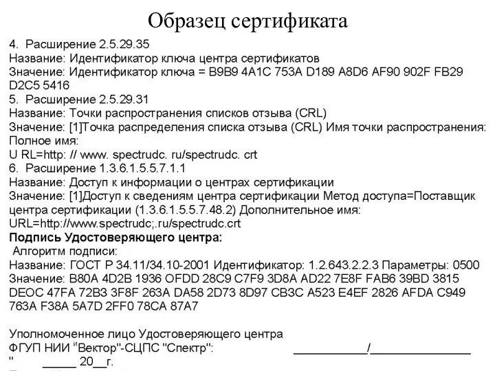 Образец сертификата