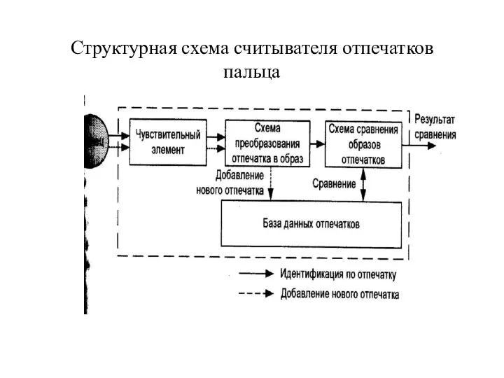 Структурная схема считывателя отпечатков пальца