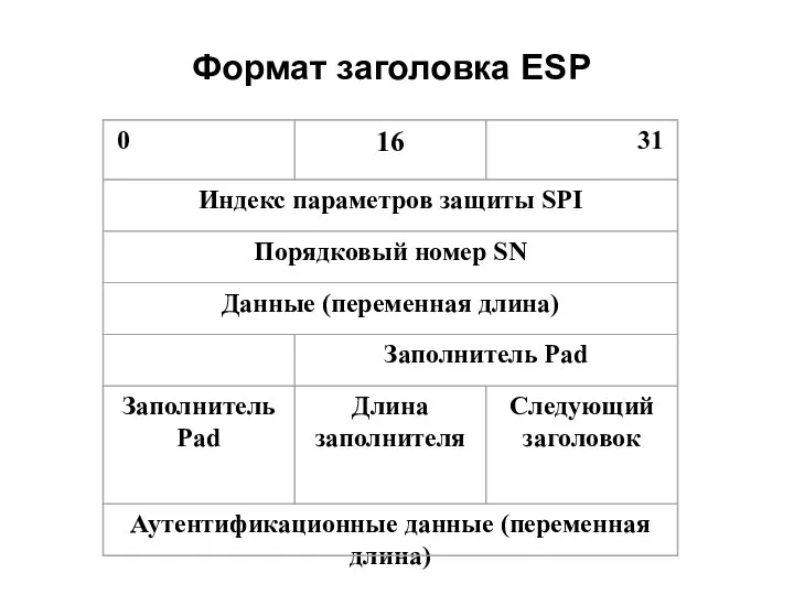 Формат заголовка ESP