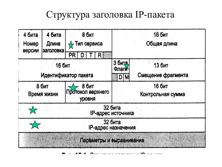 Структура заголовка IP-пакета