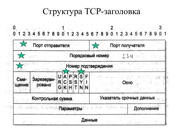 Структура TCP-заголовка