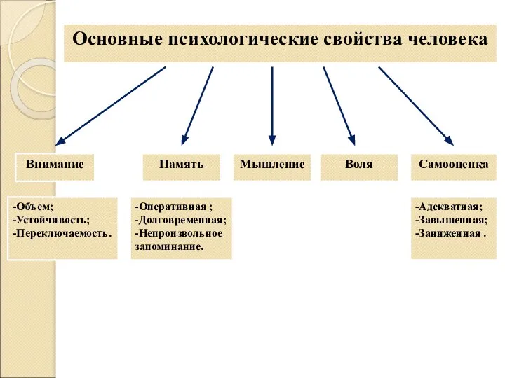 -Объем; -Устойчивость; -Переключаемость. -Адекватная; -Завышенная; -Заниженная . -Оперативная ; -Долговременная; -Непроизвольное