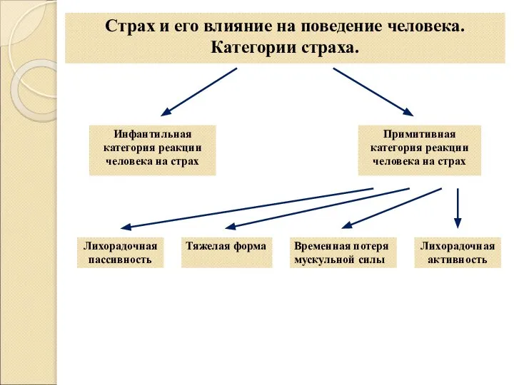 Инфантильная категория реакции человека на страх Примитивная категория реакции человека на