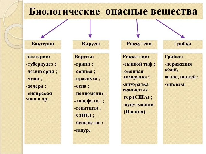 Биологические опасные вещества Бактерии: -туберкулез ; -дезинтерия ; -чума ; -холера