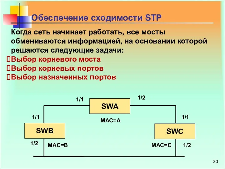 Когда сеть начинает работать, все мосты обмениваются информацией, на основании которой