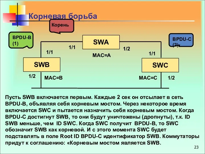 BPDU-B (1) BPDU-C (2) Корень Корневая борьба Пусть SWB включается первым.