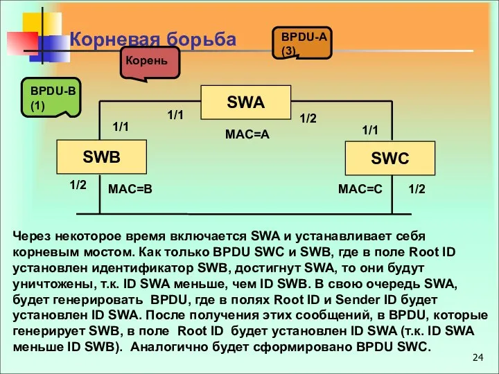 BPDU-B (1) BPDU-А (3) Корень Корневая борьба Через некоторое время включается