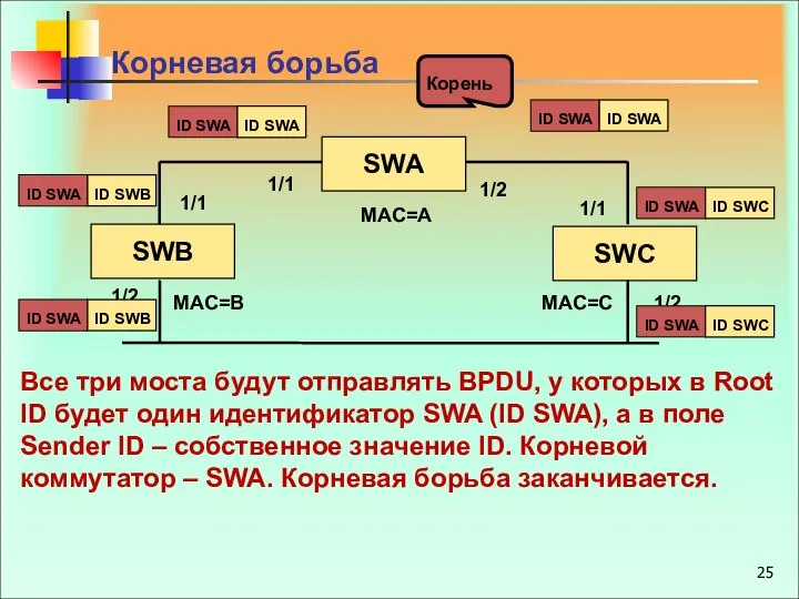 Корень Корневая борьба Все три моста будут отправлять BPDU, у которых