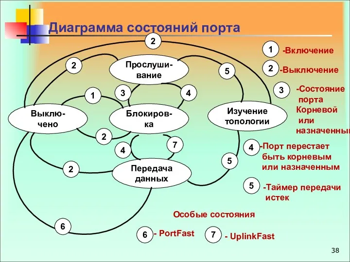 Диаграмма состояний порта Передача данных Изучение топологии Выклю-чено Блокиров-ка Прослуши-вание 1