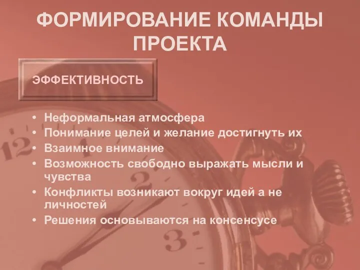 ФОРМИРОВАНИЕ КОМАНДЫ ПРОЕКТА Неформальная атмосфера Понимание целей и желание достигнуть их