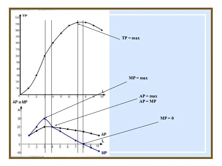 TP = max MP = max AP = max AP = MP MP = 0