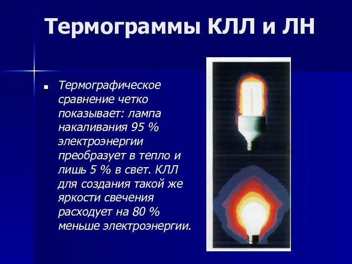 Термограммы КЛЛ и ЛН Термографическое сравнение четко показывает: лампа накаливания 95