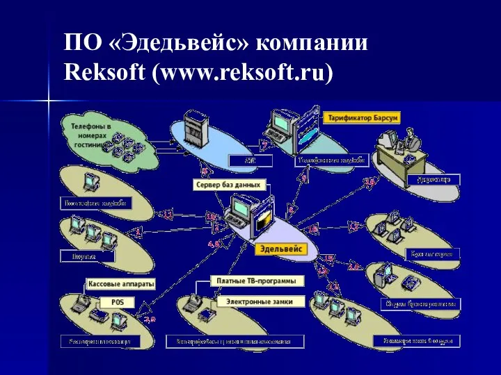 ПО «Эдедьвейс» компании Reksoft (www.reksoft.ru)