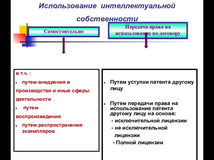 Использование интеллектуальной собственности в т.ч. : путем внедрения в производство и