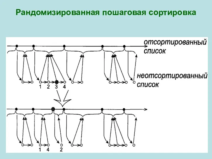 Рандомизированная пошаговая сортировка