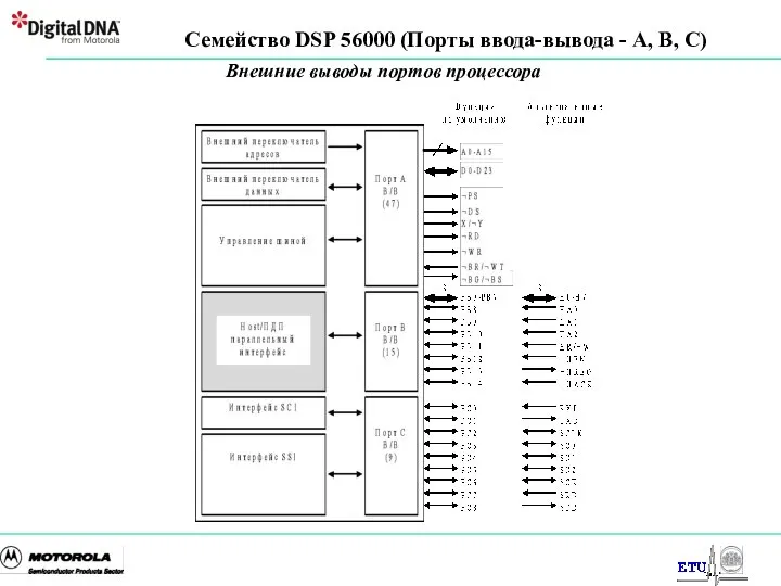 Семейство DSP 56000 (Порты ввода-вывода - A, B, C) Внешние выводы портов процессора