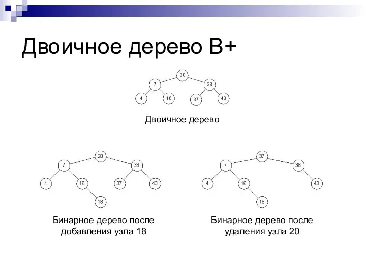 Двоичное дерево B+ Двоичное дерево Бинарное дерево после добавления узла 18