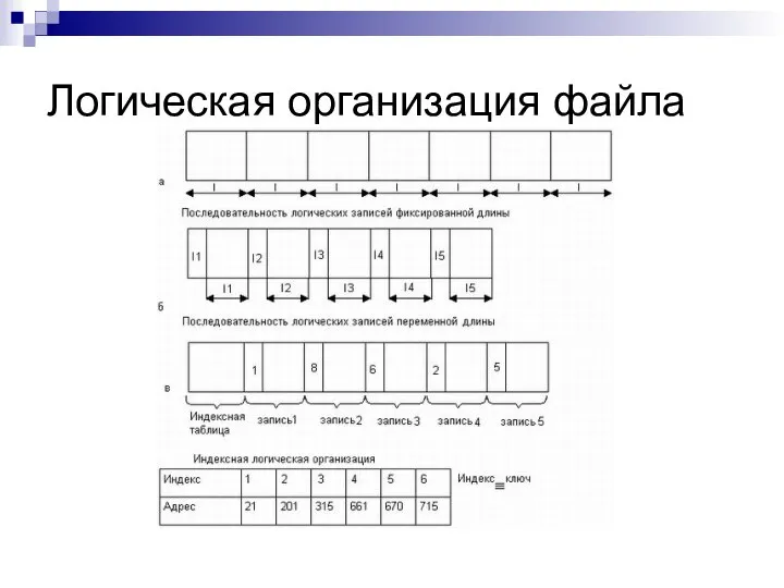 Логическая организация файла