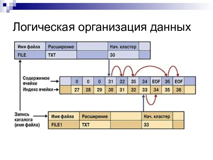 Логическая организация данных