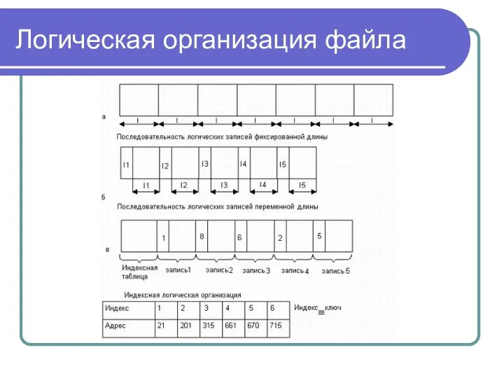 Логическая организация файла