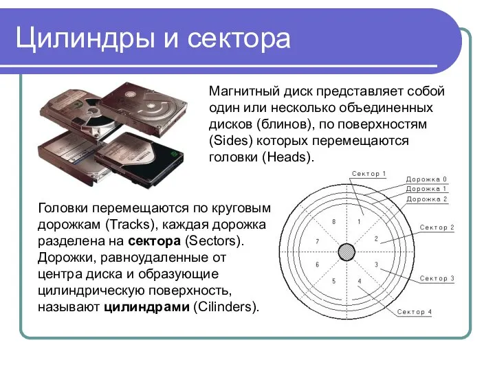 Цилиндры и сектора Головки перемещаются по круговым дорожкам (Tracks), каждая дорожка