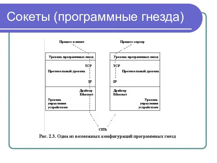 Сокеты (программные гнезда)