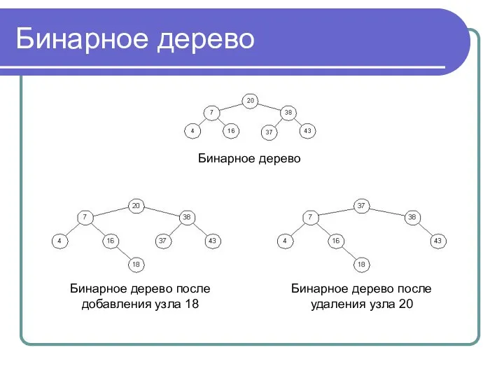 Бинарное дерево