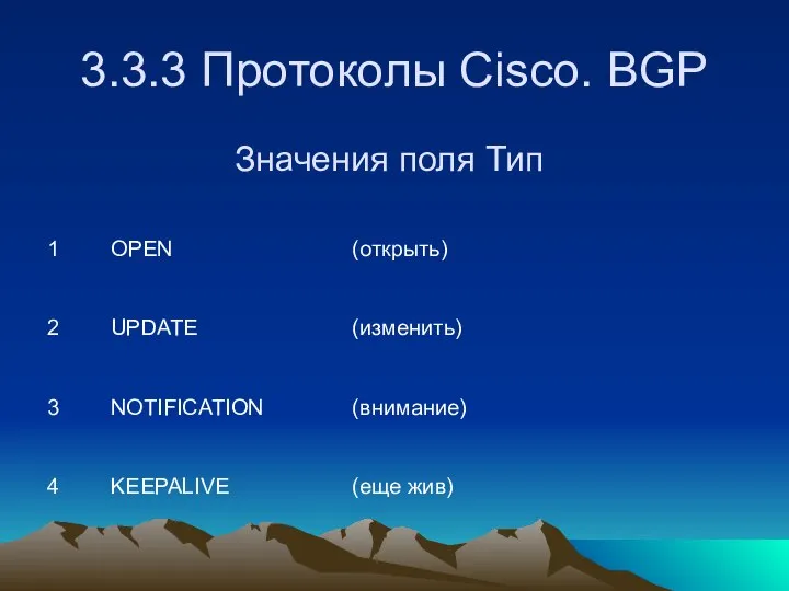 3.3.3 Протоколы Cisco. BGP Значения поля Тип