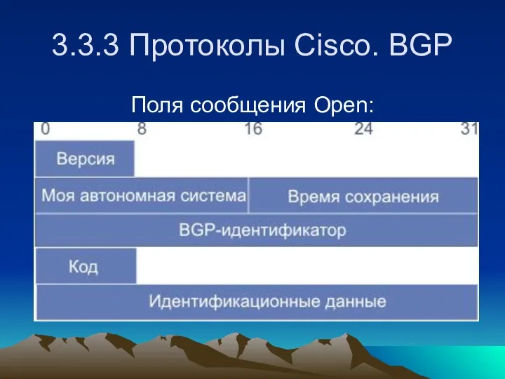 3.3.3 Протоколы Cisco. BGP Поля сообщения Open: